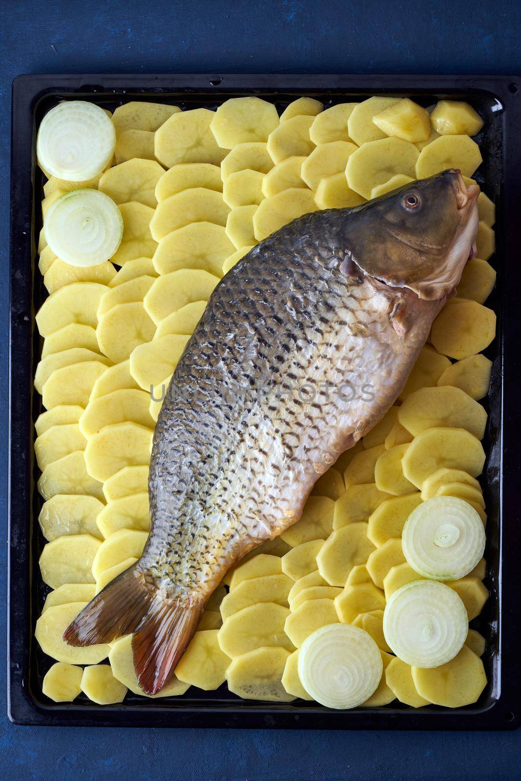 Raw carp, whole fish with sliced potatoes on large tray on dark blue background. Traditional European Polish dish, suitable for a Christmas table, vertical
