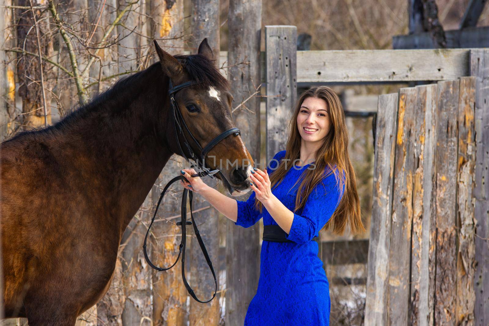 Portrait of a beautiful girl in a blue dress with a horse against the background of an old wooden fence a