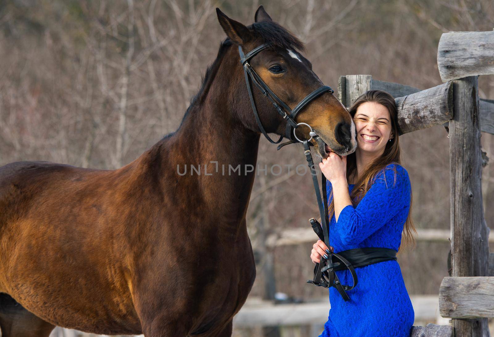 The horse caresses and bites the hand of a young beautiful girl a