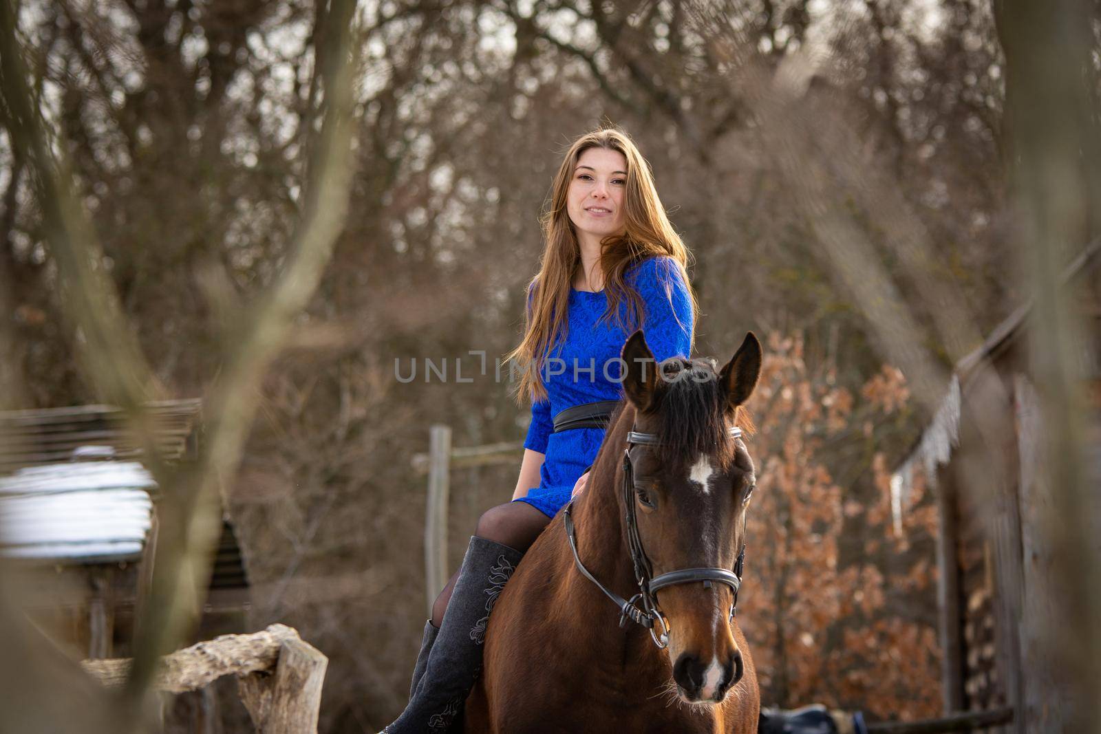 A girl in a blue dress sits on a horse against the backdrop of a winter forest by Madhourse