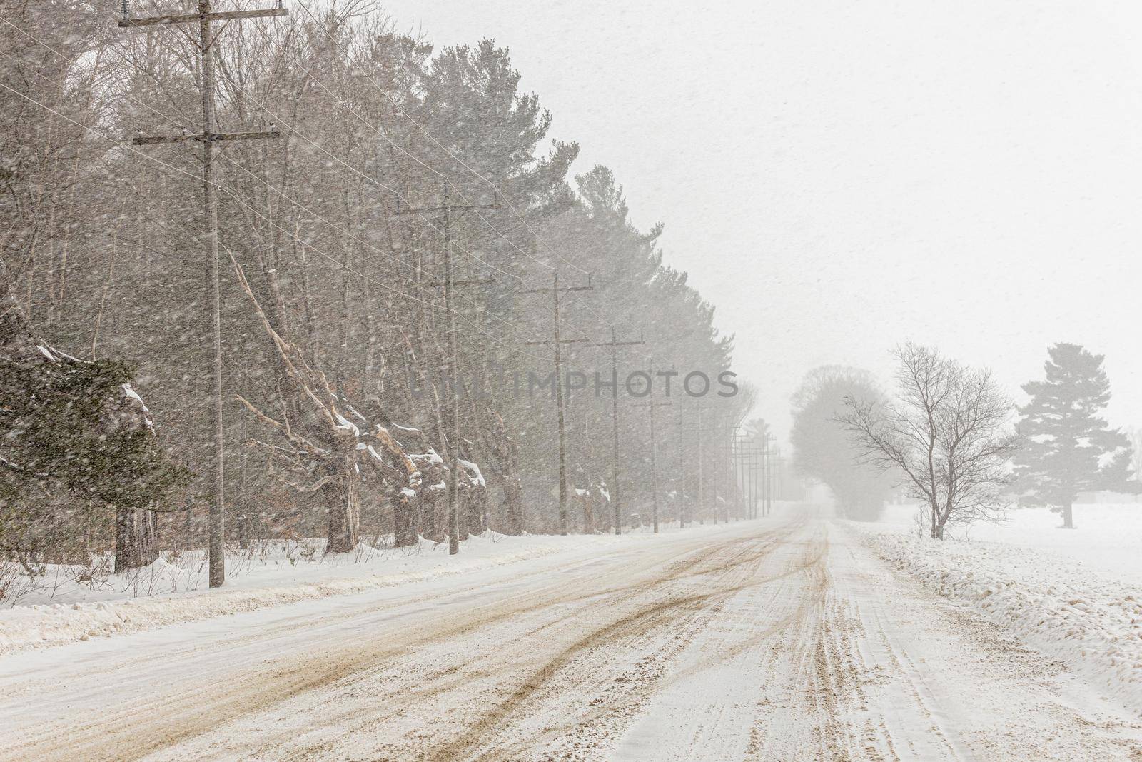 Snow Squall Conditions on a Country Road in Ontario Canada by markvandam