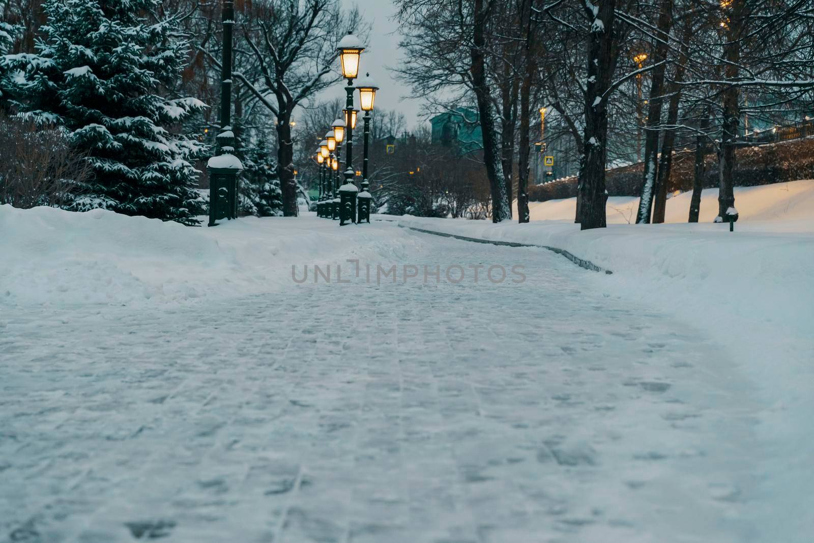 alley with street lamps in the Alexander Garden on a winter night