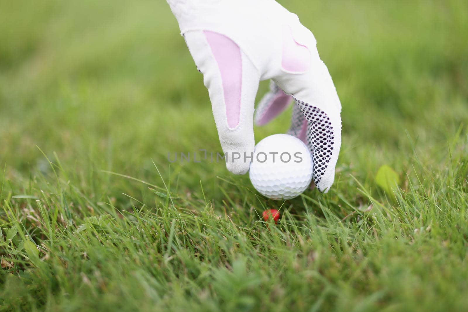 Professional golf player put ball on holder on green play field by kuprevich