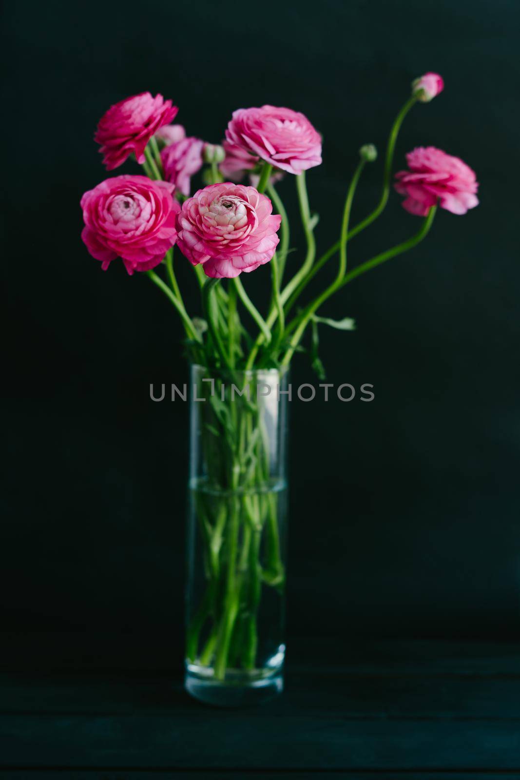 Beautiful bouquet of pink spring flowers. The ranunculi are pink on a black background. Spring bouquet for birthday, Mother's Day, March 8, Women's Day, Happy Valentine's Day. Vertical photo.