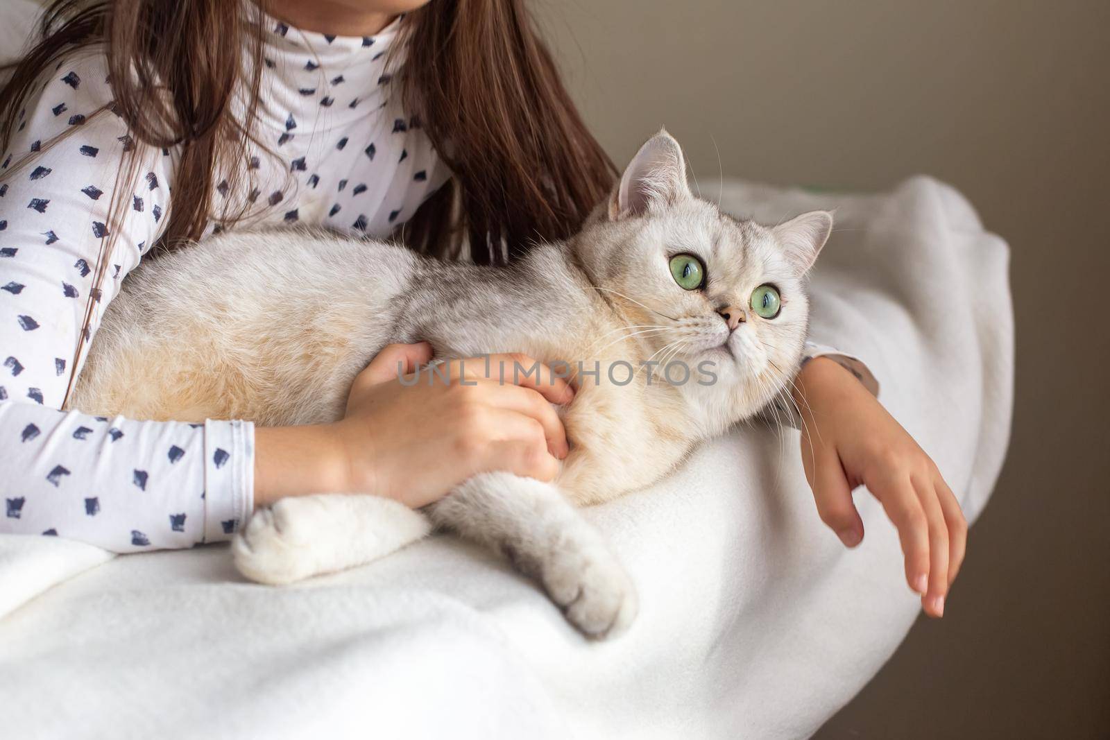 Hands of a little girl, hugging a white cat, lying on a white bed. Copy space