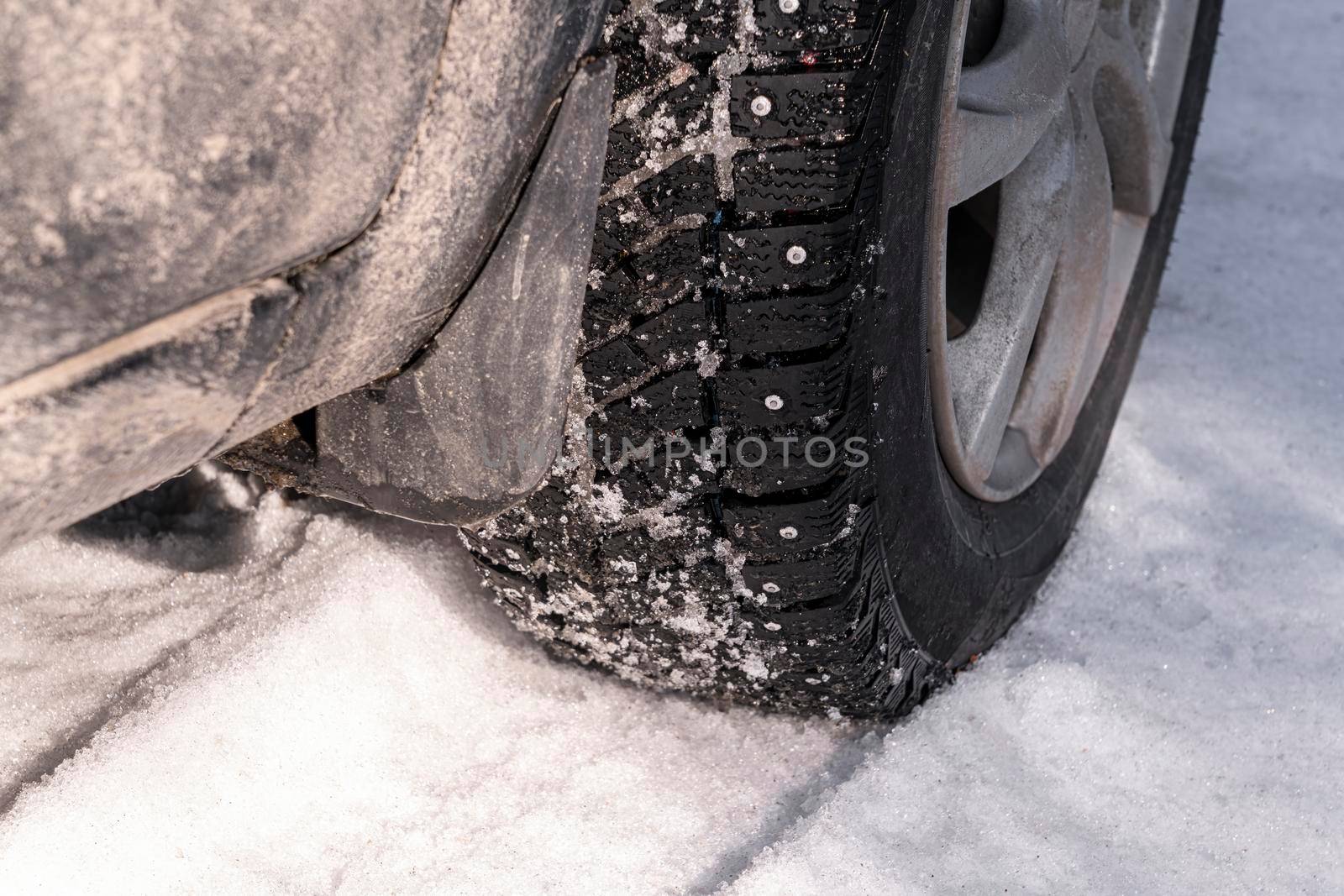 a car wheel with spikes in the snow. High quality photo