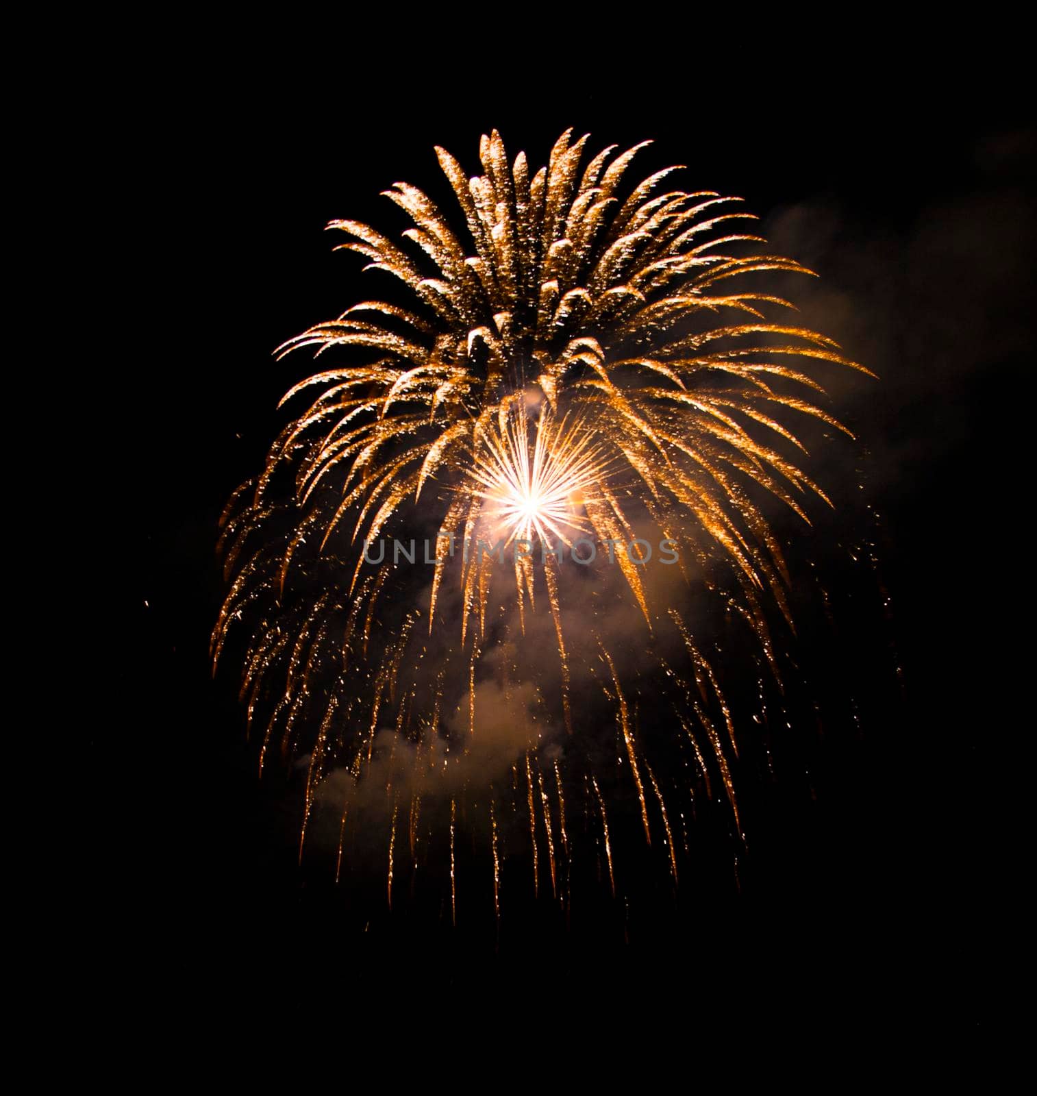 beautiful fireworks in black sky. High quality photo