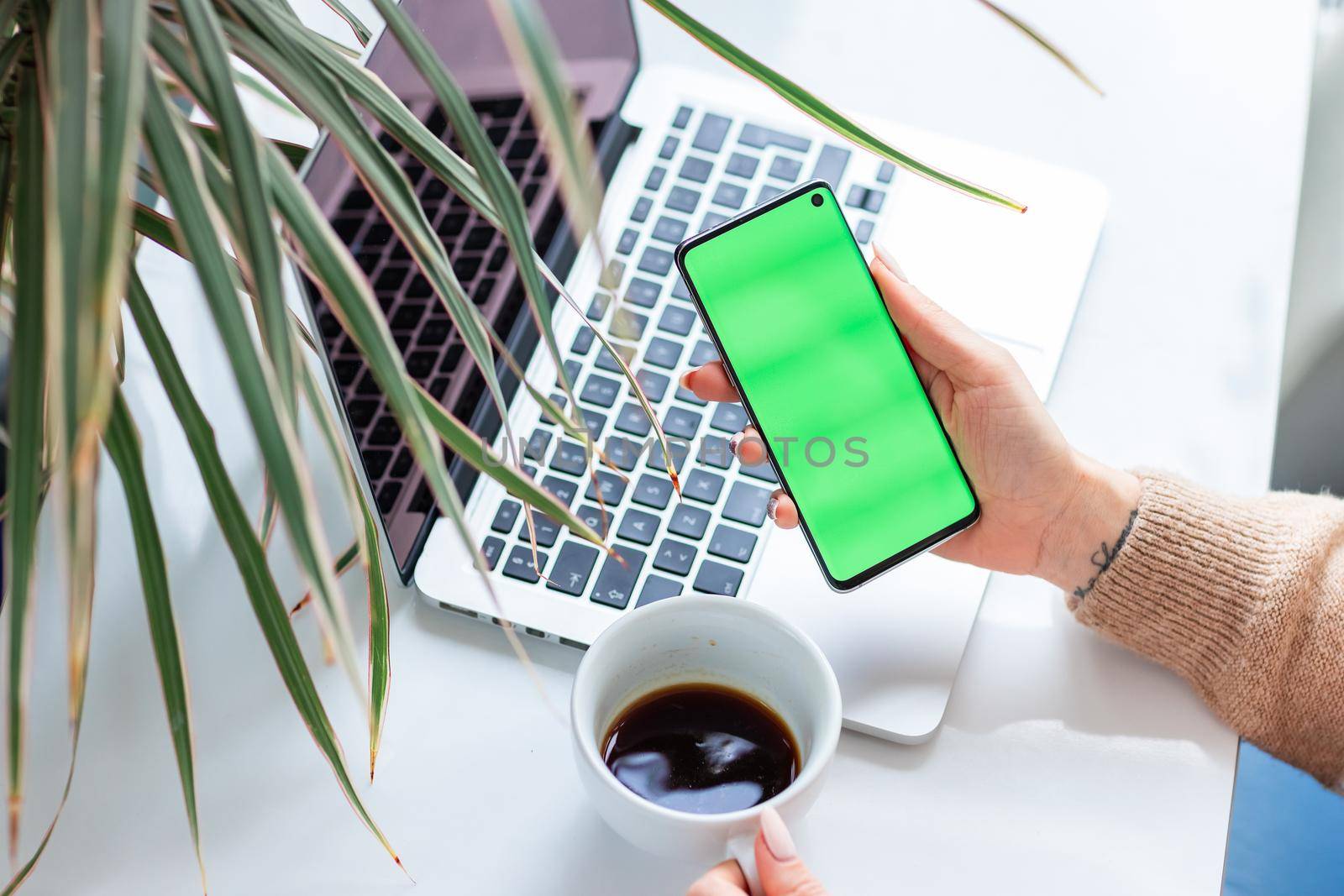 Young woman's hands scrolling and checking her phone. Focus on the mobile phonechromakey, green screen on screen.