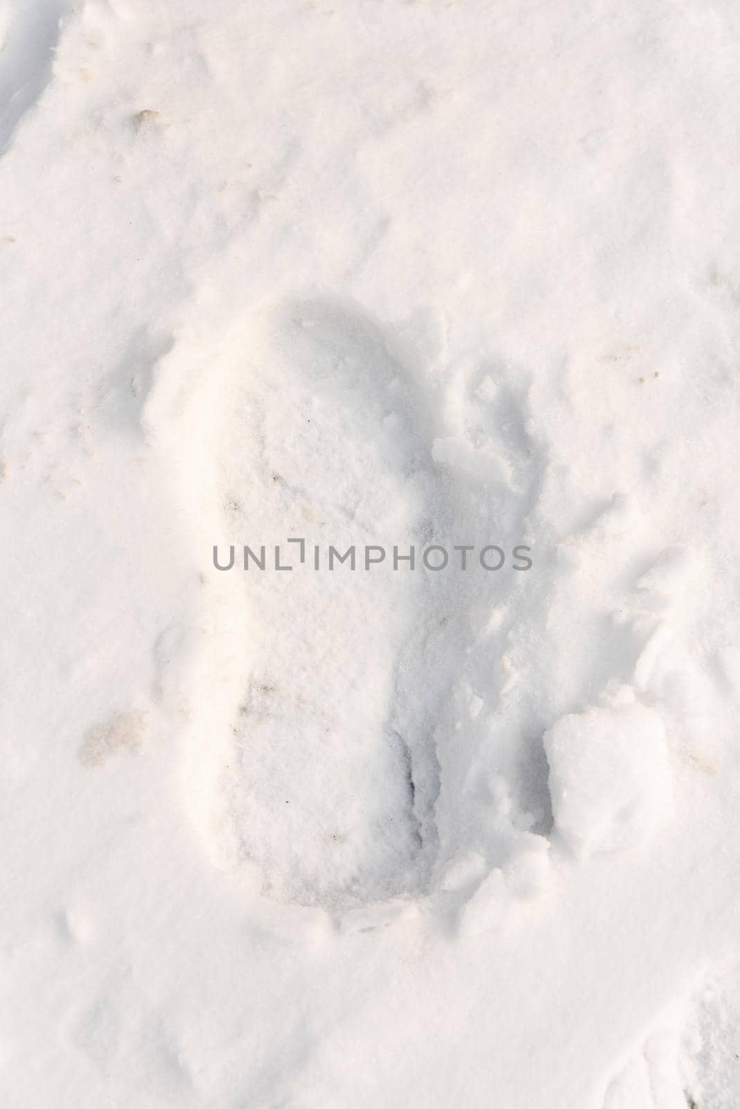 footprints on the snow under sunlight close-up by karpovkottt