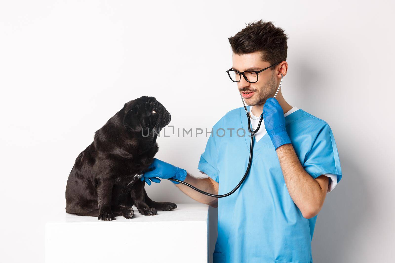 Handsome doctor veterinarian smiling, examining pet in vet clinic, checking pug dog with stethoscope, standing over white background.