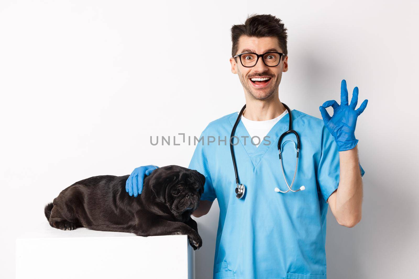 Happy male doctor veterinarian examining cute black dog pug, showing okay sign in approval, satisfied with animal health, standing over white background.