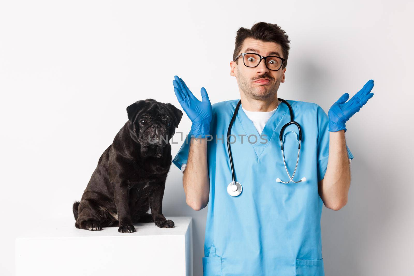 Clueless doctor veteriantian in scrubs shrugging, staring at camera confused while dog sitting on examination table and waiting for check-up, white background by Benzoix