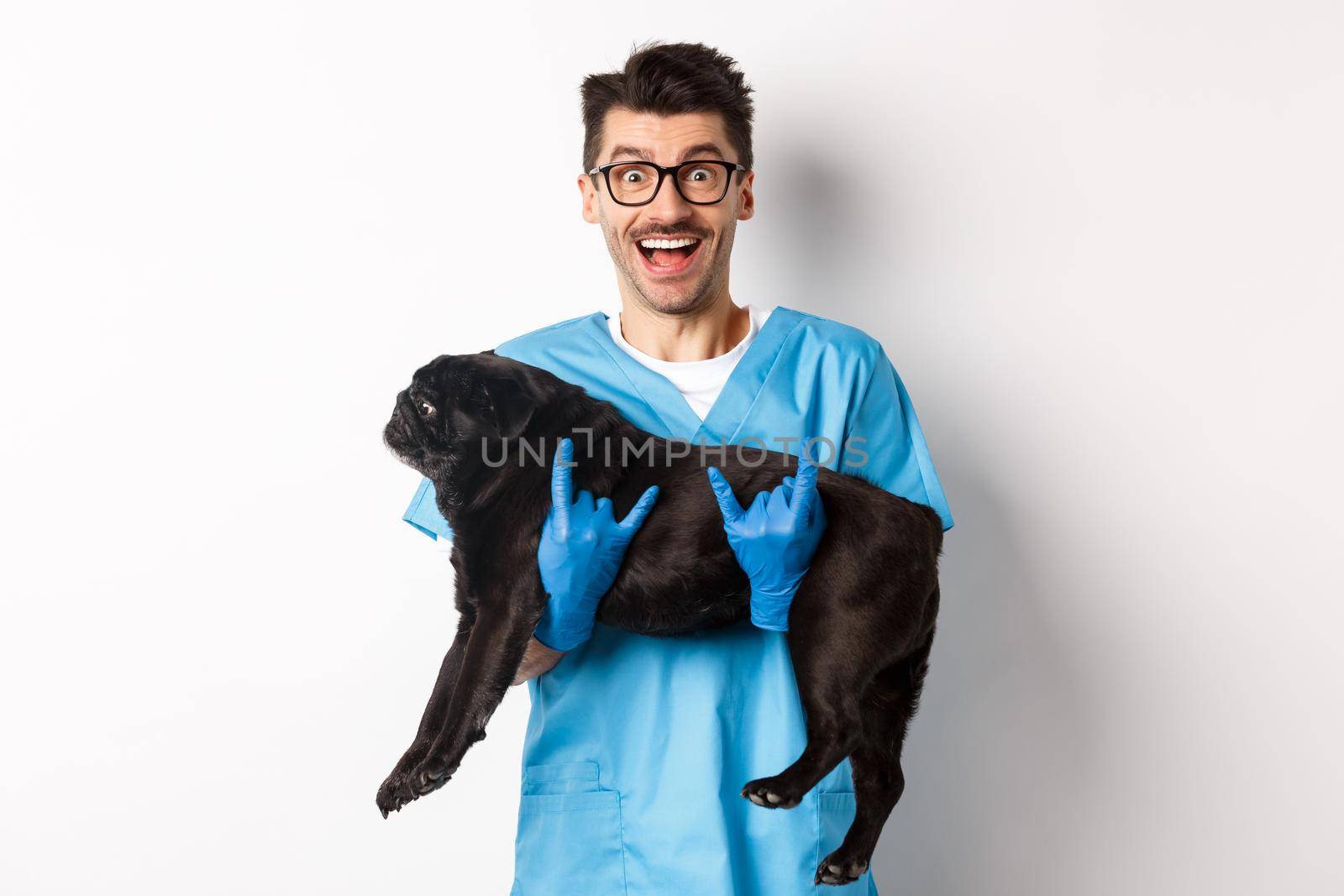 Vet clinic concept. Happy male doctor veterinarian holding cute black pug dog, smiling at camera, showing rock-n-roll gesture, white background by Benzoix
