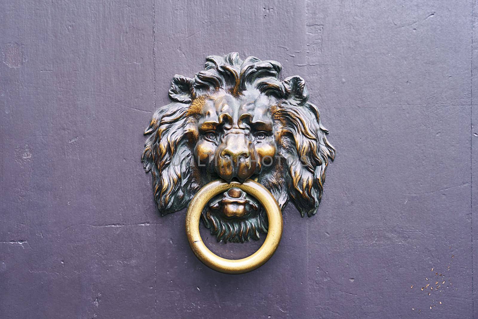 Vintage curly bronze lion head on old wooden door