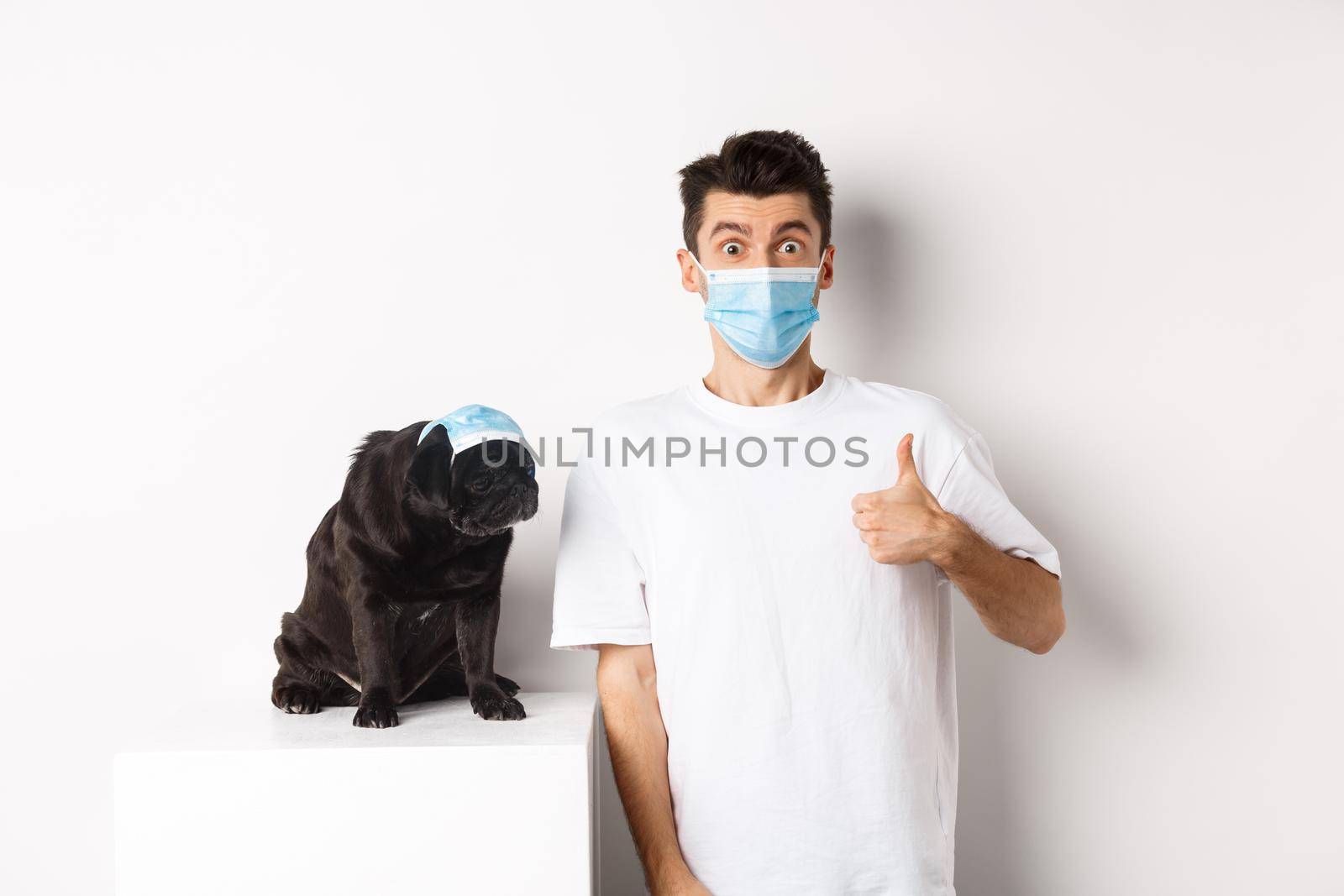 Covid-19, animals and quarantine concept. Handsome young man and small dog wearing face masks, owner showing thumb up in approval, praise super cool product, white background by Benzoix