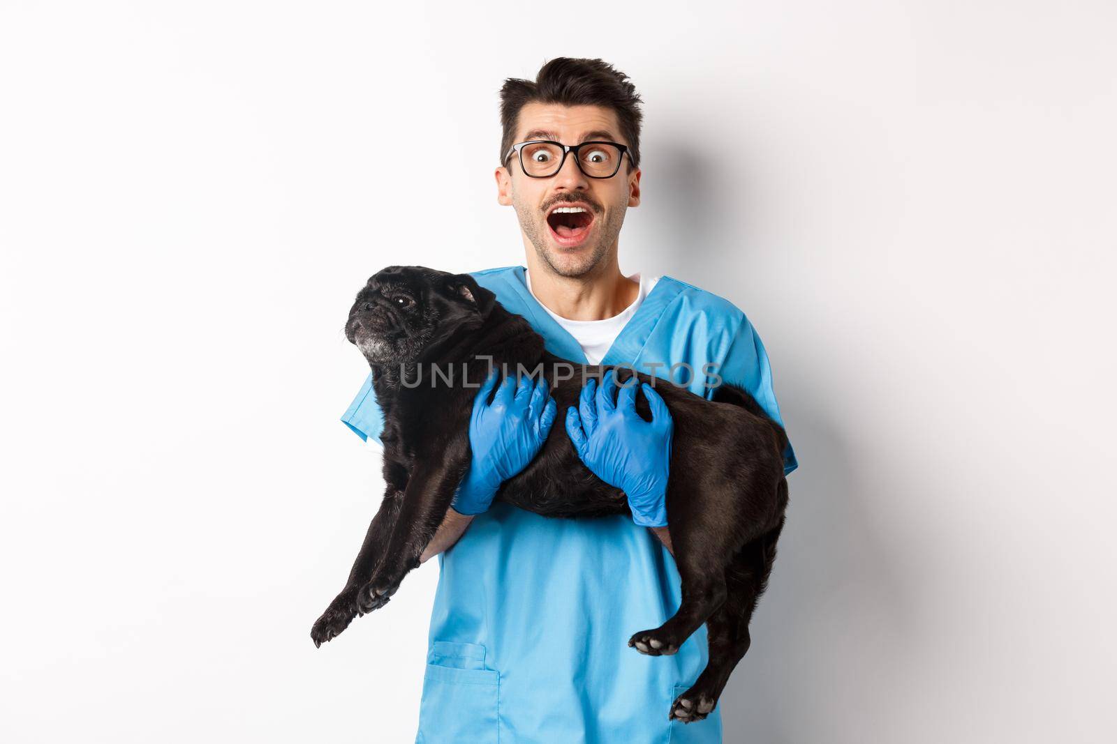 Vet clinic concept. Happy male doctor veterinarian holding cute black pug dog, staring at camera amazed, white background by Benzoix