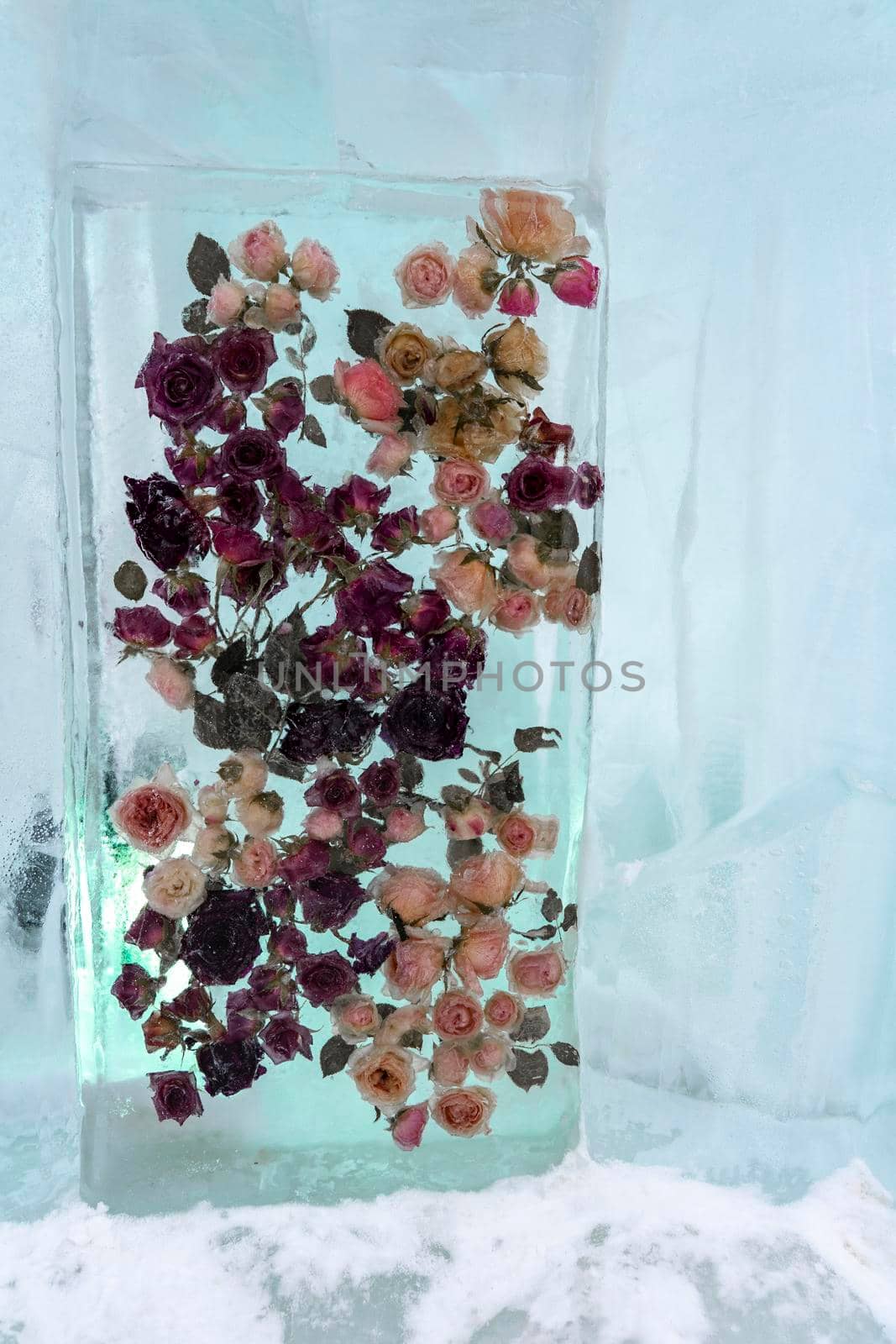 Frozen arrangement of a flower inside a transparent piece of ice