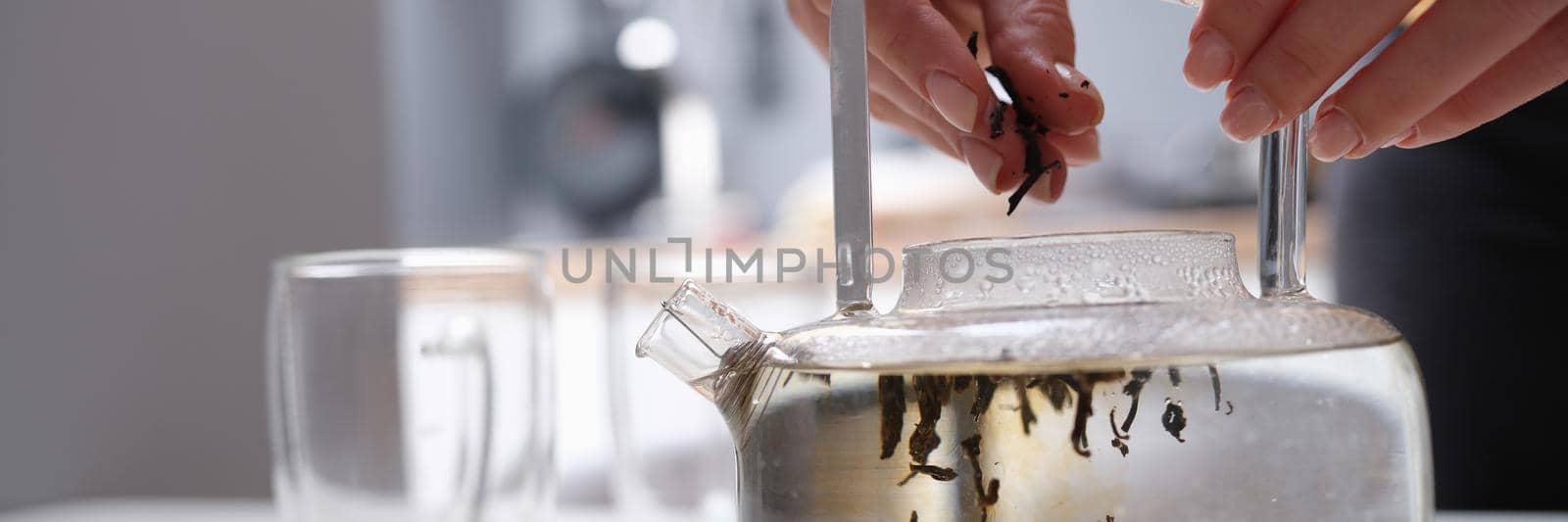 Woman falls asleep tea leaves in transparent glass teapot with hot water. Tea brewing rules concept