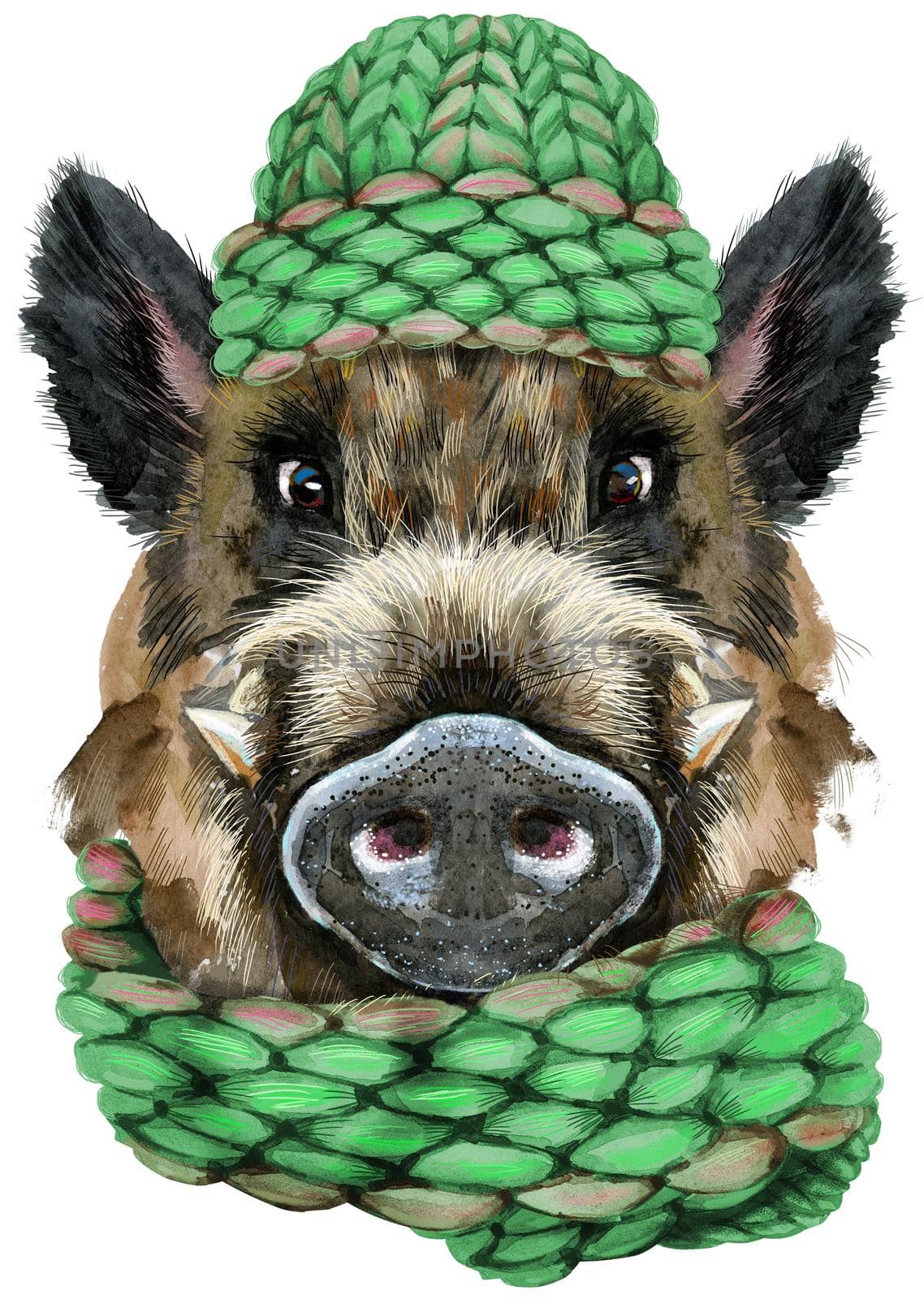 Watercolor portrait of wild boar in green knitted hat by NataOmsk