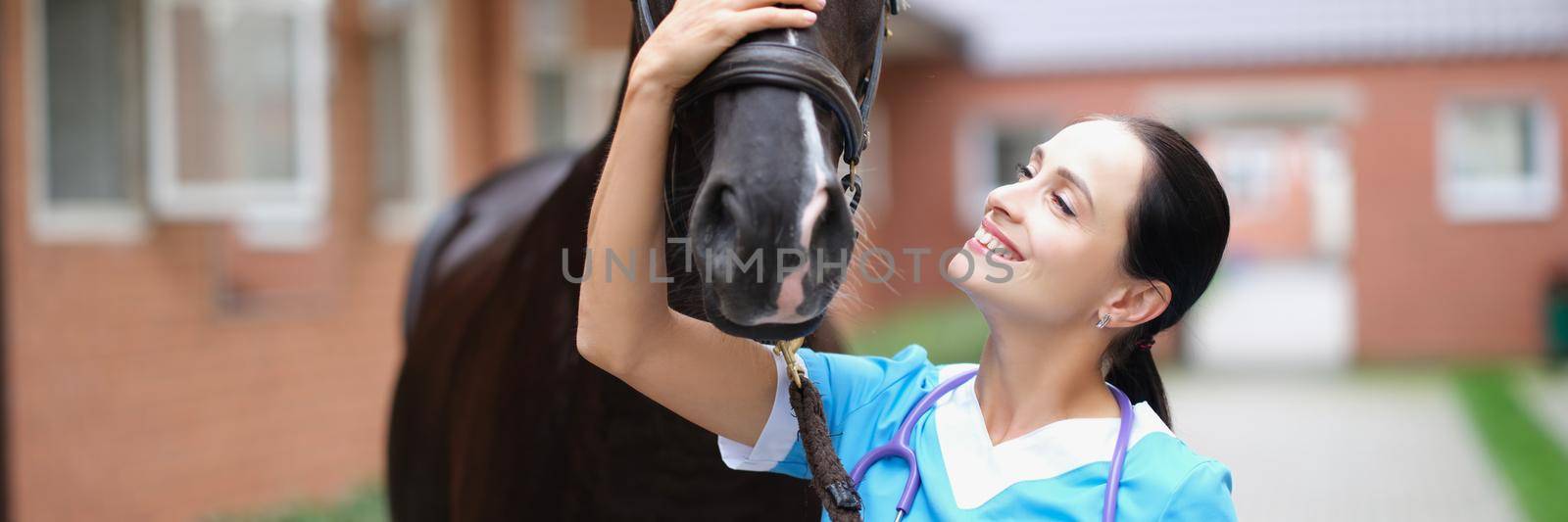 Smiling female veterinarian stroking black horse. Medina animal care concept