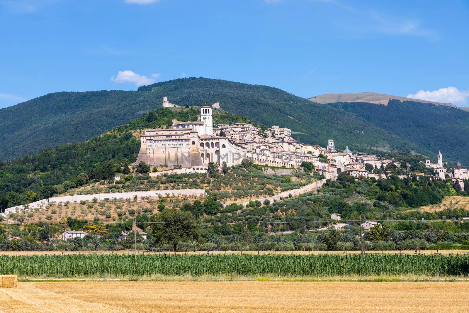 Assisi village in Umbria region, Italy. The town is famous for the most important Italian St. Francis Basilica (Basilica di San Francesco)