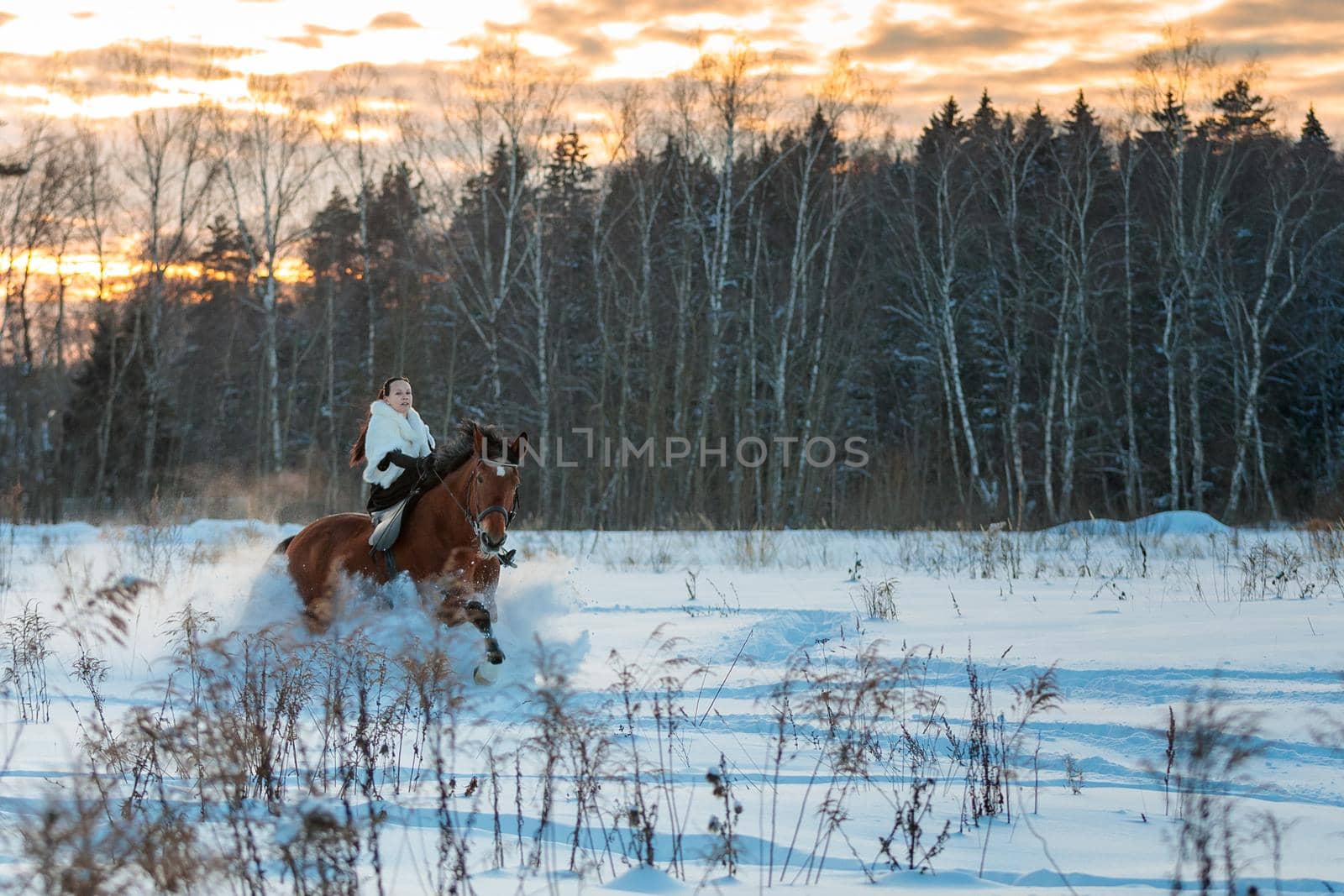 A girl in a white cloak rides a brown horse in winter. Golden hour, setting sun.