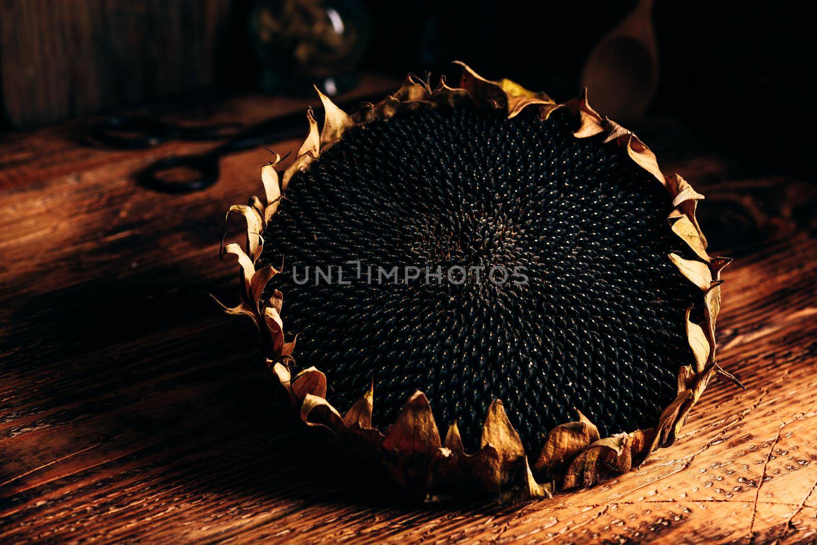 Dried sunflower head on the wooden table