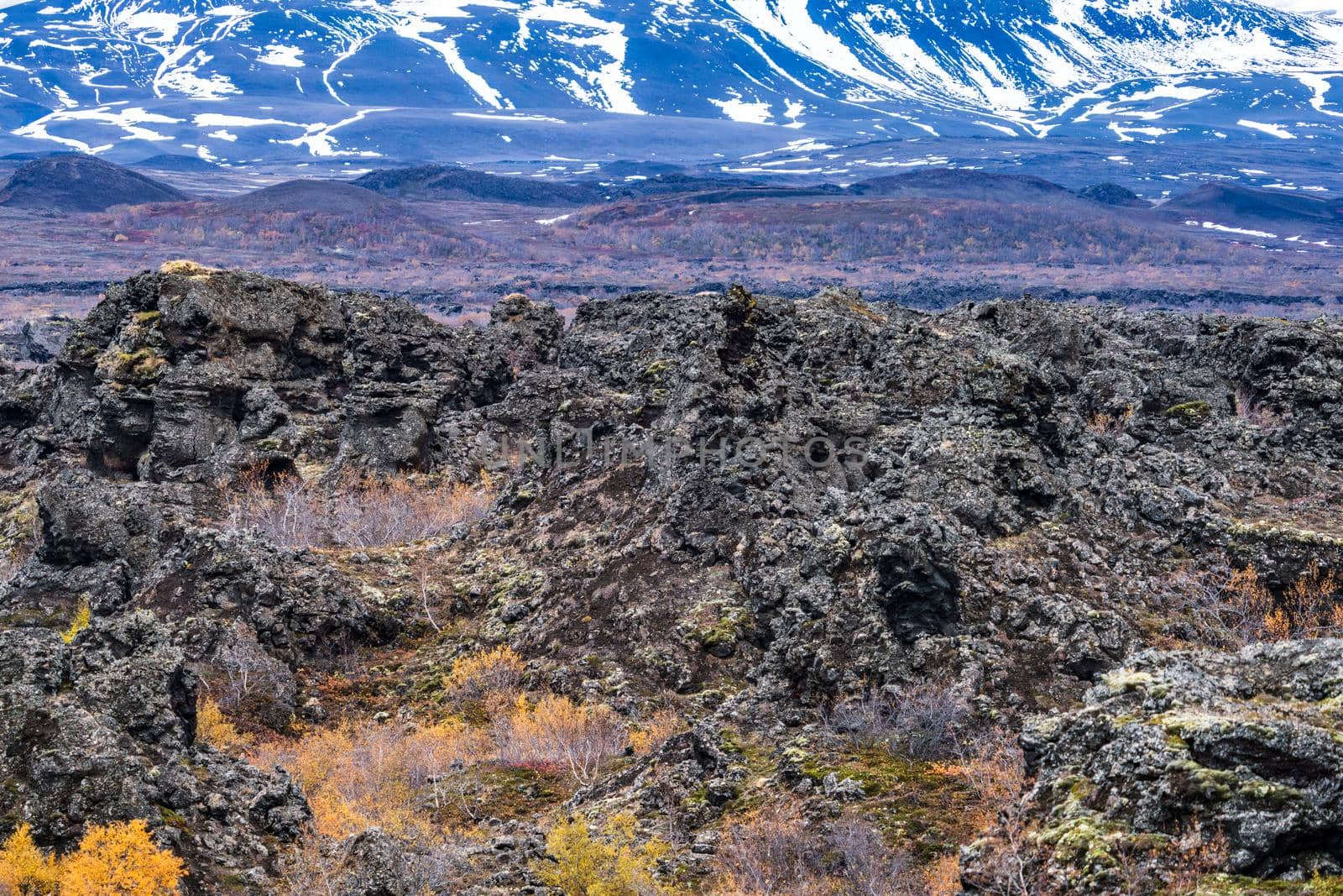 Vast lava field with snow covered mountains in the background by FerradalFCG