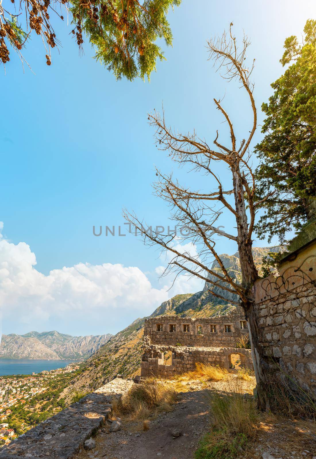 Kotor Bay in summer, view from above. Montenegro