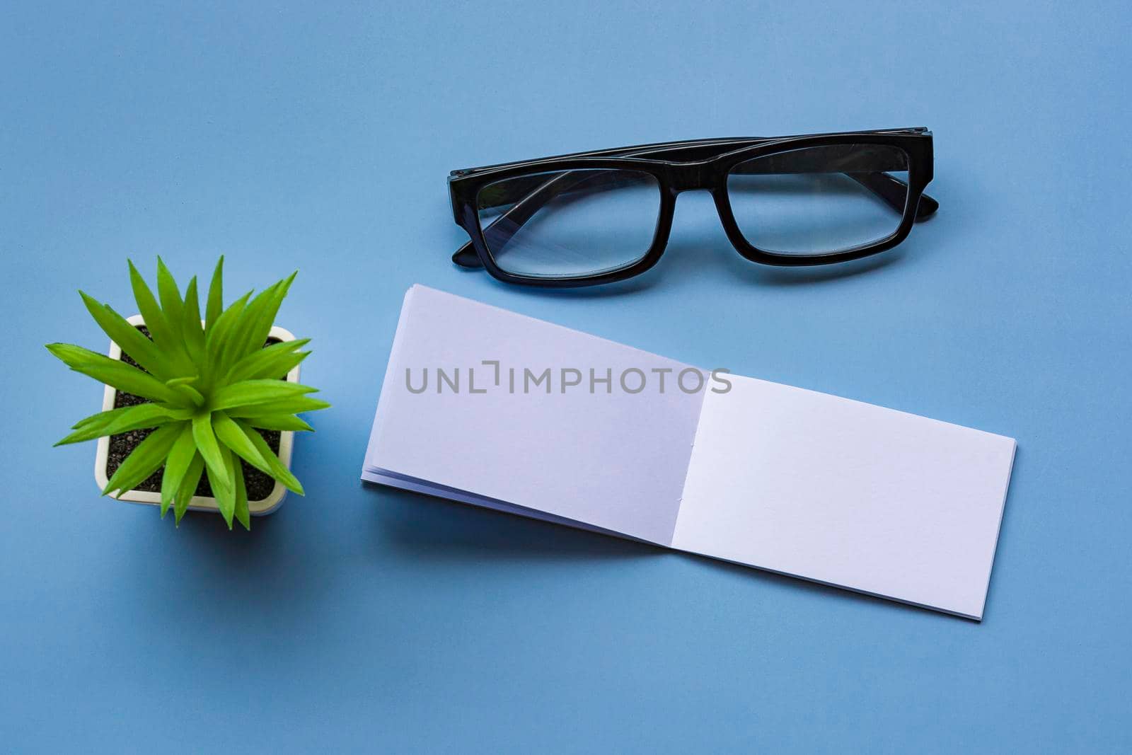 Notepad with reading glasses and potted plant. Directly above. Flat lay, Message and reminder concept.