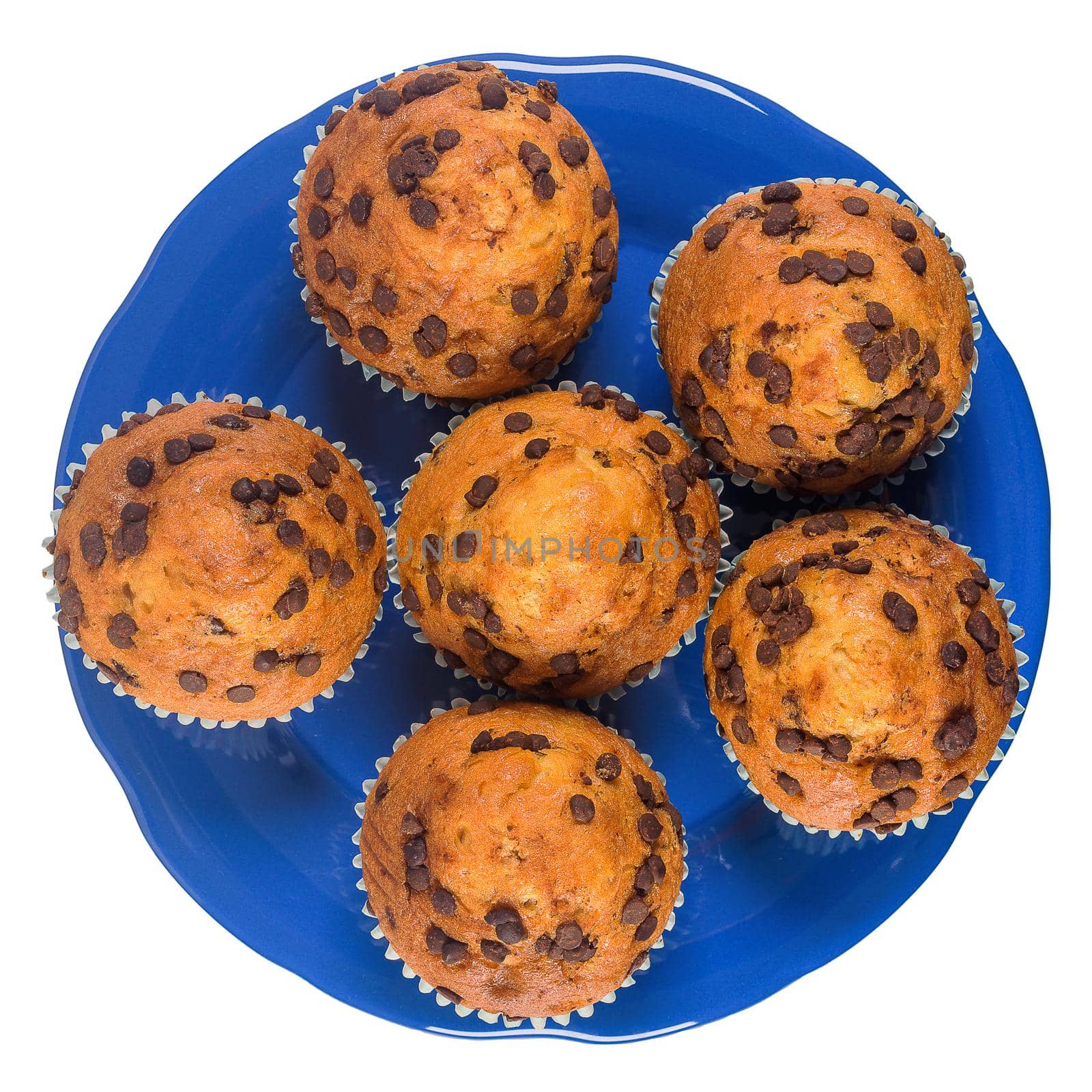 Muffins with chocolate chips on a ceramic plate isolated on white background.