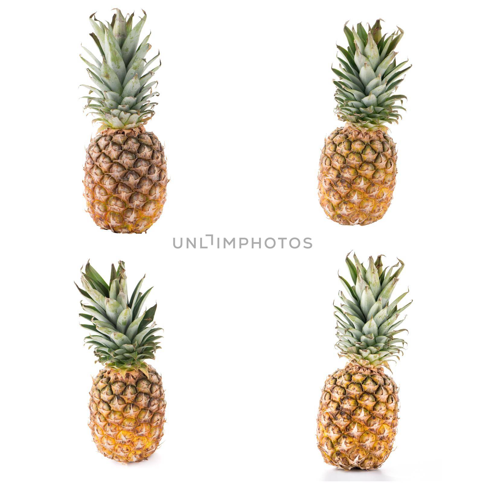 Pineapples by homydesign