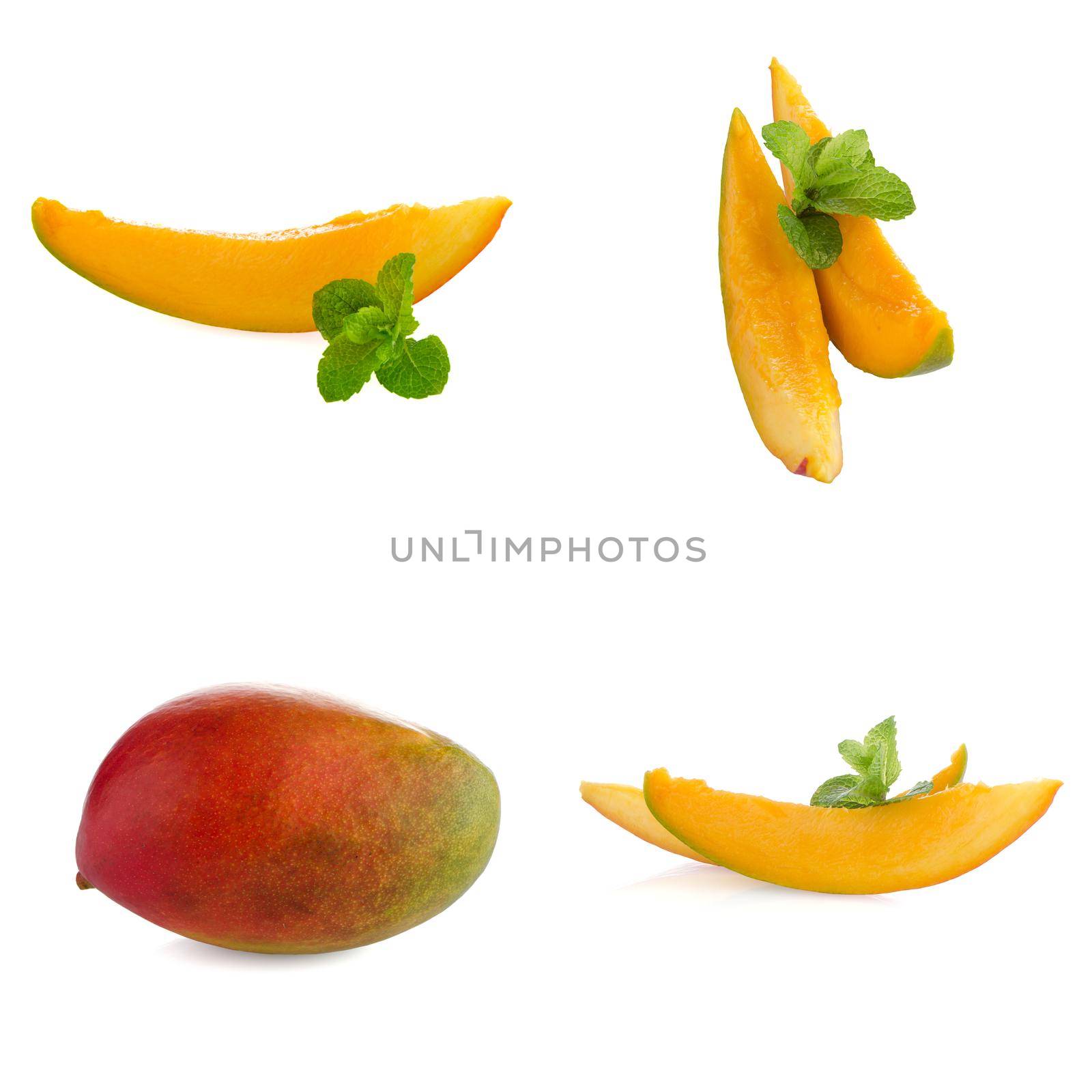 Set of mango fruit by homydesign