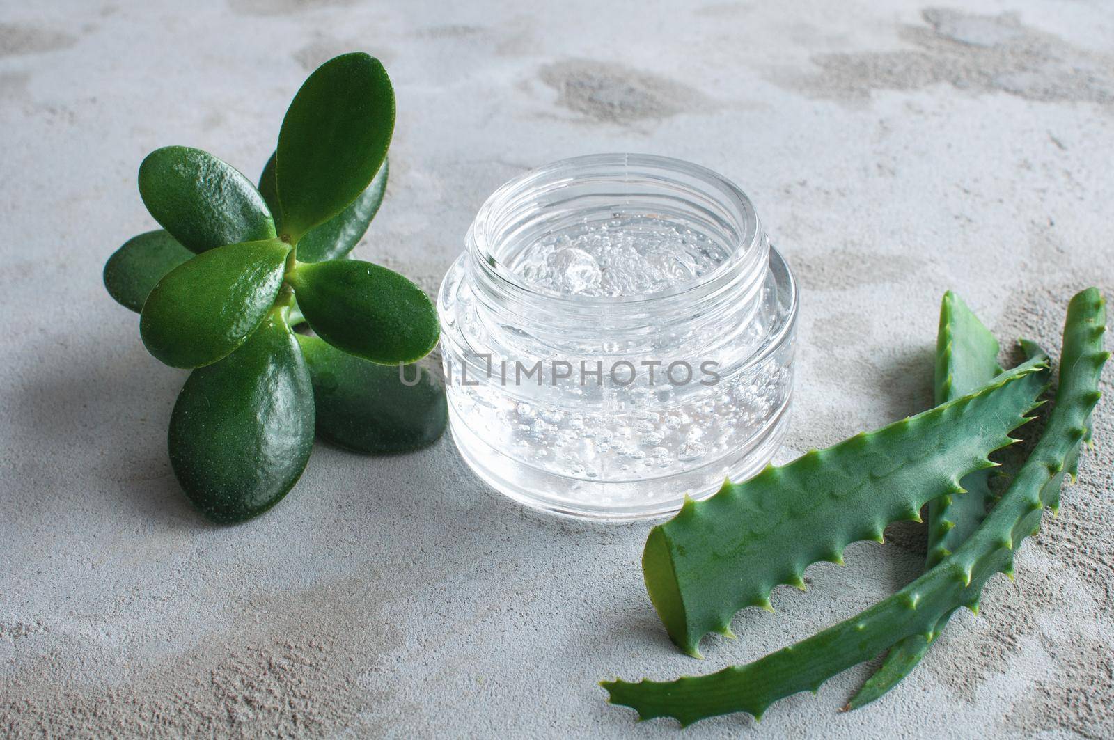 Gel texture with bubbles hyaluronic acid and aloe vera branches in a glass jar on a concrete background