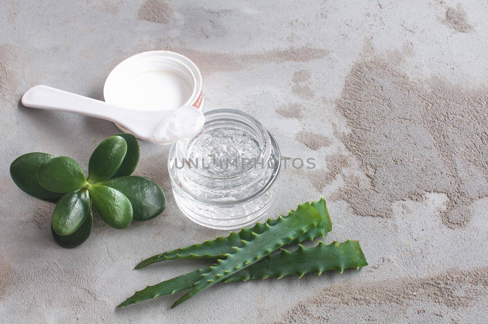 Gel texture with bubbles hyaluronic acid and aloe vera branches in a glass jar by ozornina