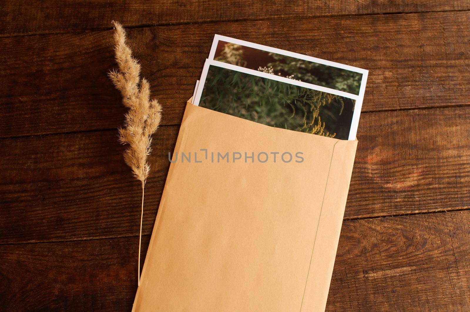 photos are enclosed in a beige envelope, located on a brown wooden table