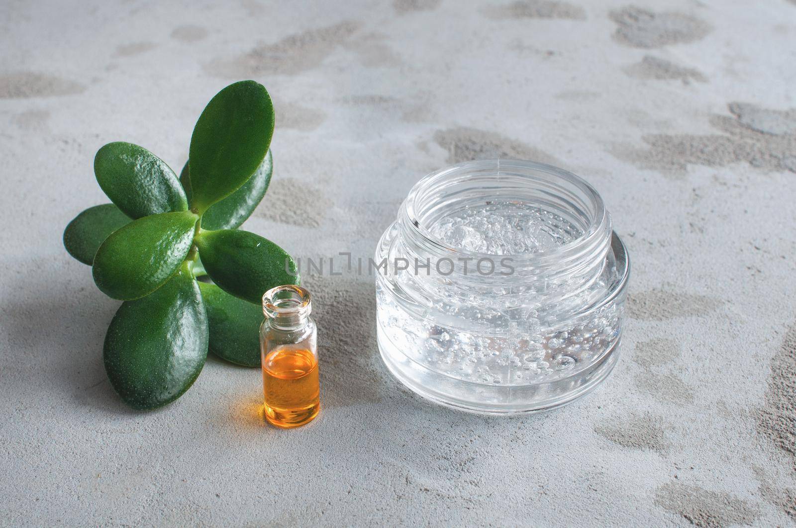 Gel texture with bubbles hyaluronic acid and aloe vera branches in a glass jar  by ozornina