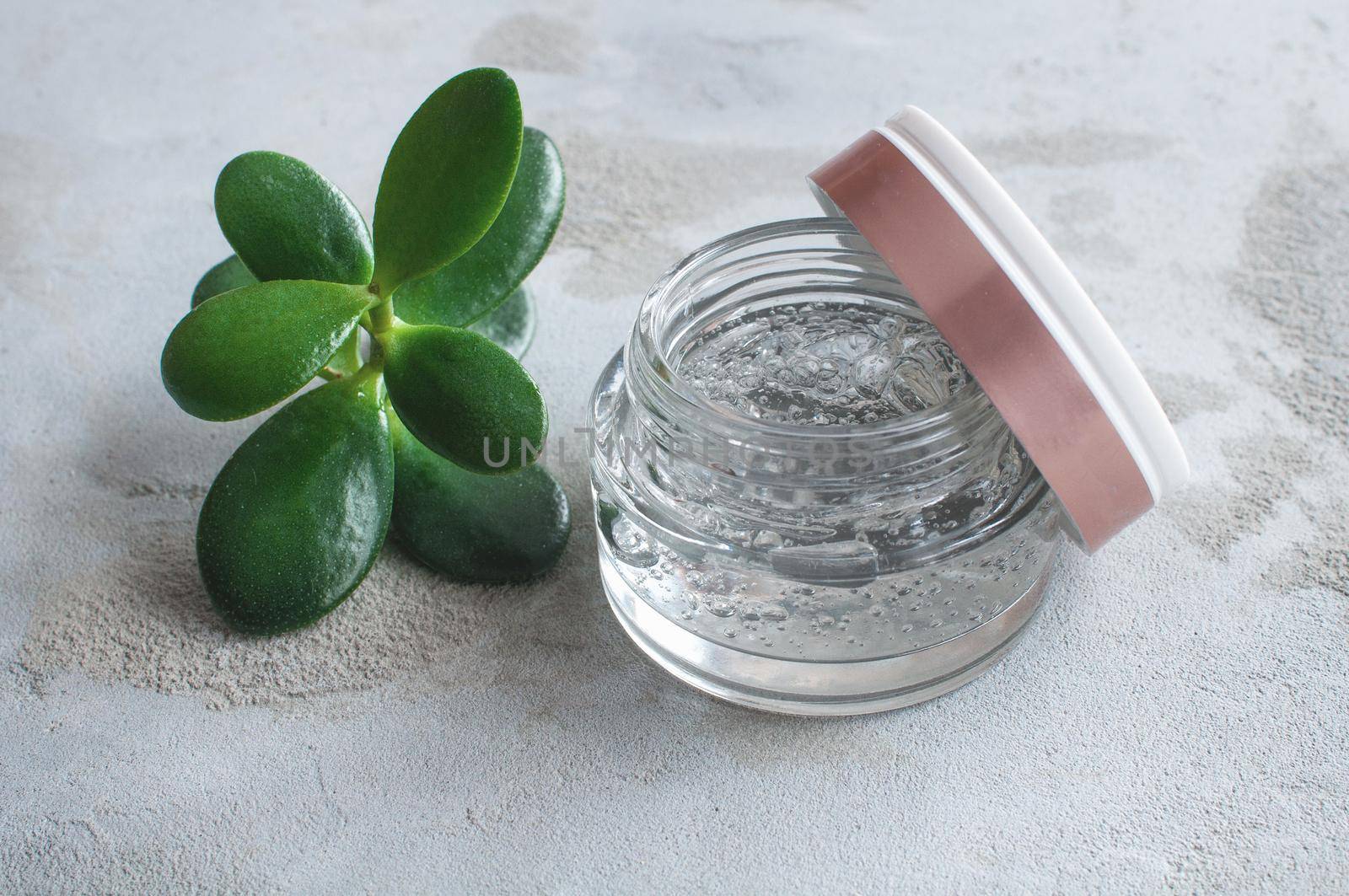 transparent jar with moisturizing cream with hyaluronic acid  by ozornina