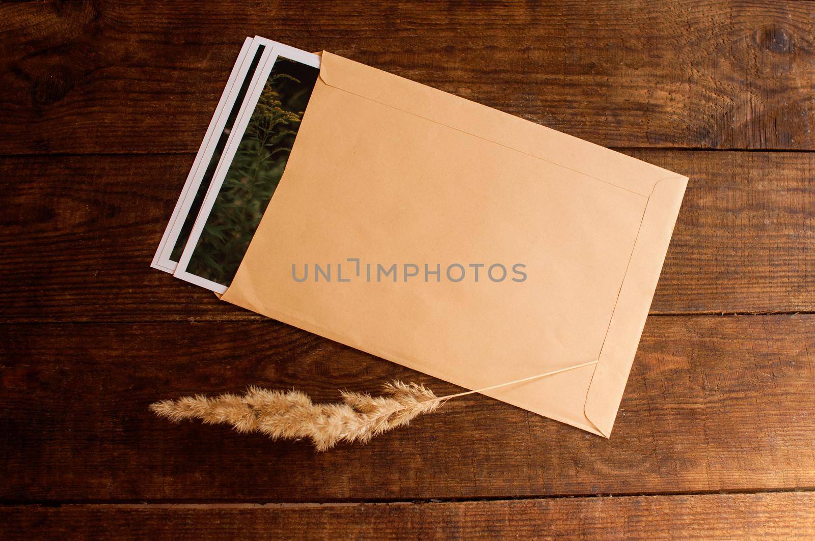 photos are enclosed in a beige envelope by ozornina