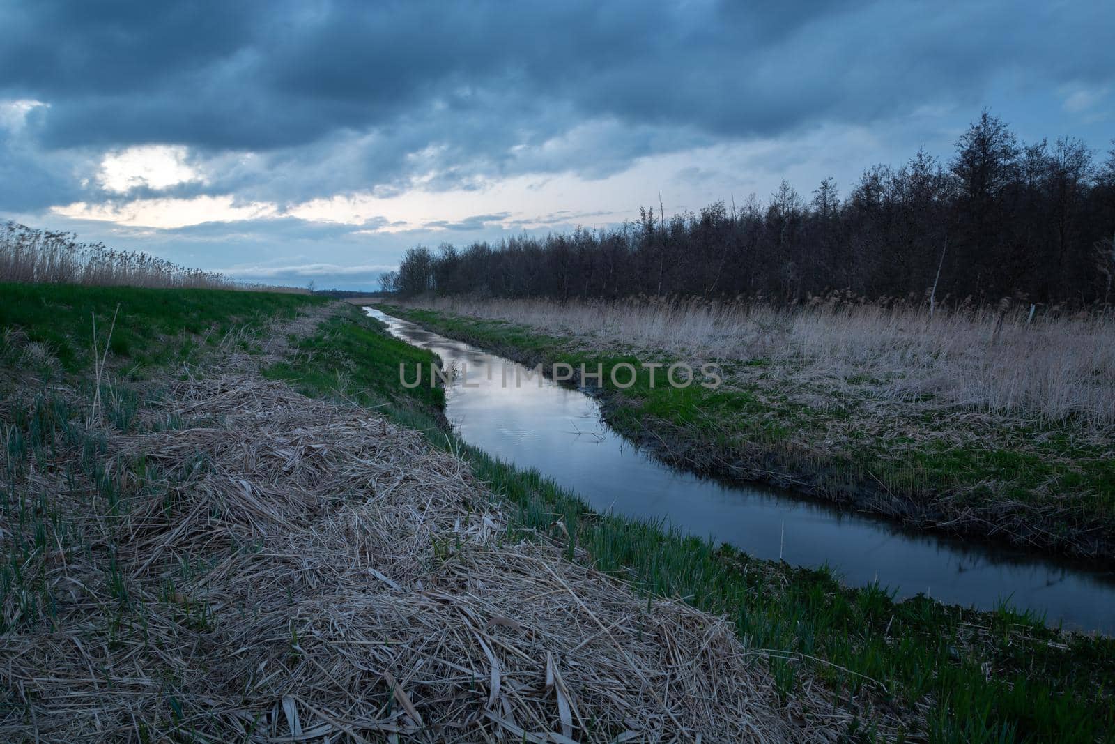 The Uherka river near the forest in eastern Poland, Stankow