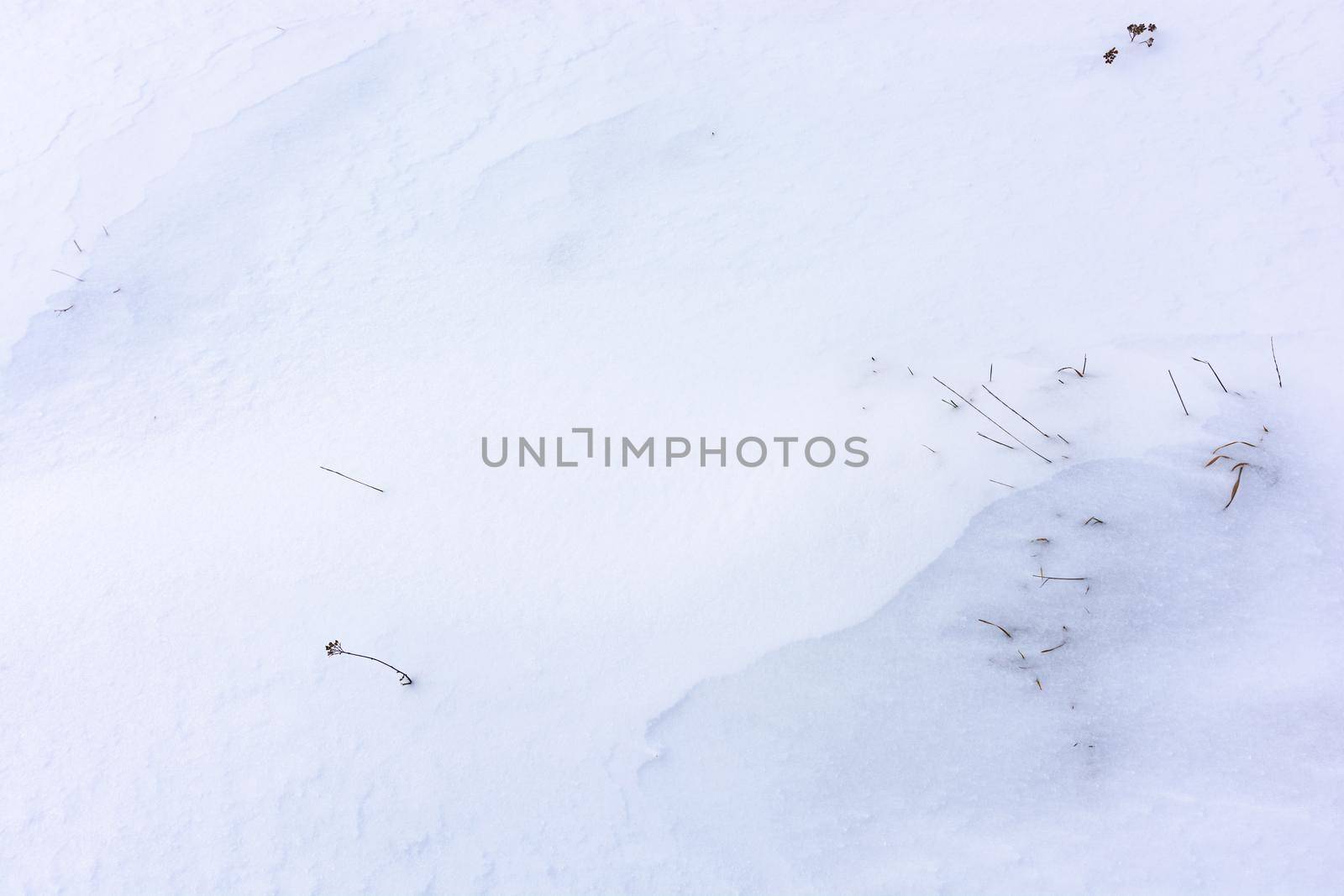 Snowy uneven white background with dry grass showing in places. Winter meadow. View from above.