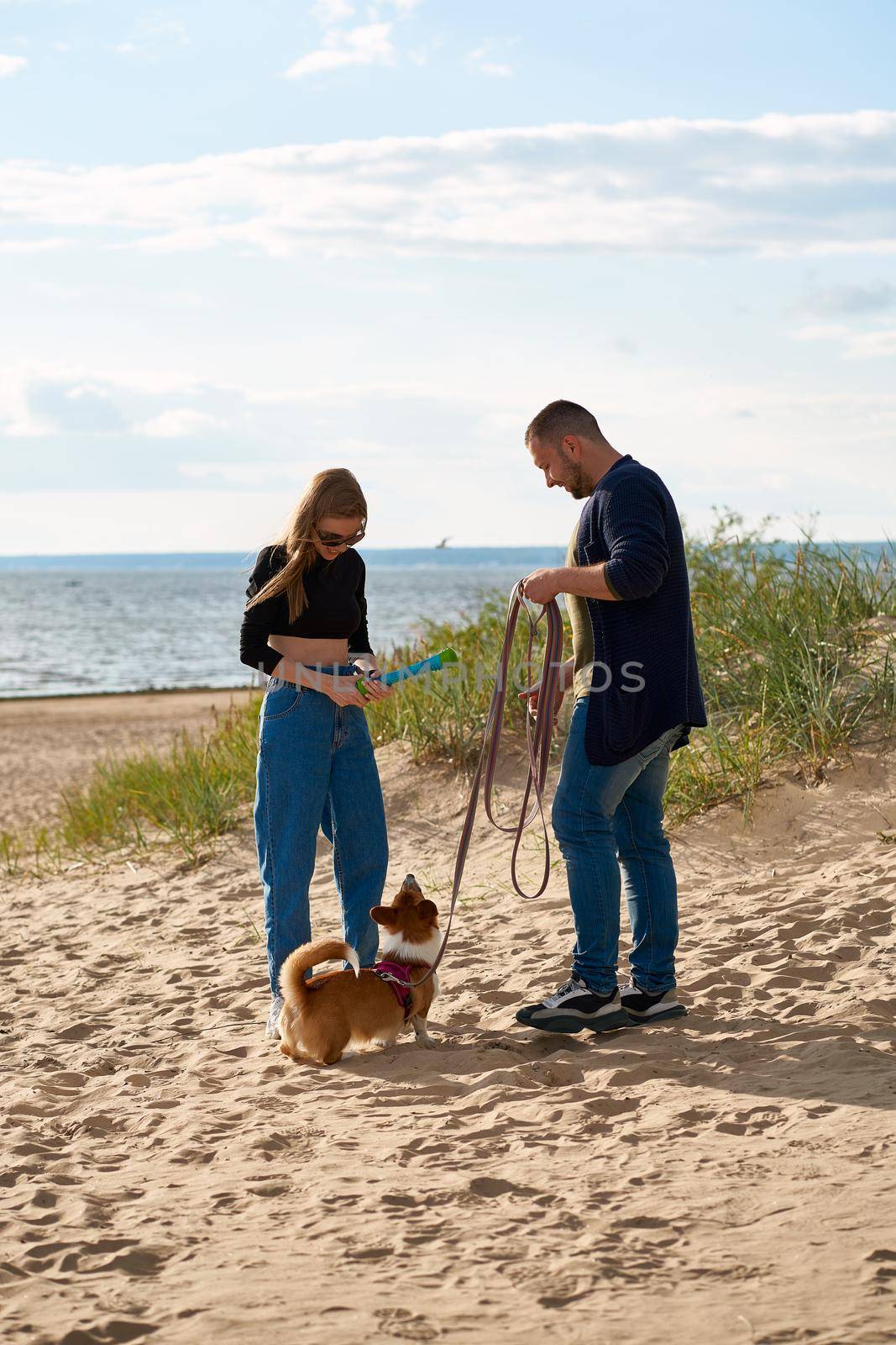 Young happy couple and dog walking along beach. Woman playing with pet by toy. by NataBene