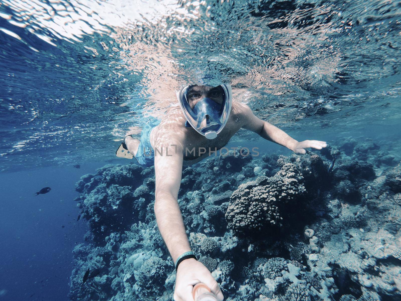 Snorkeling in red sea. Exotic tropics paradise coral reef with fish. Marsa alam, Egypt. Summer holiday vacation concept