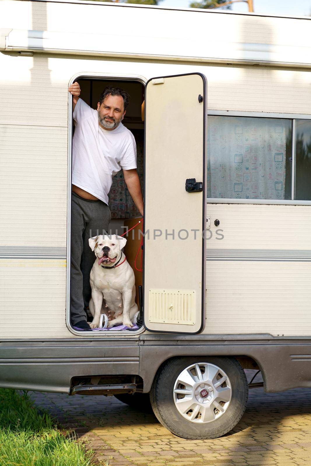 the concept of traveling with a pet. A man with a cute American bulldog breed dog travels in a motorhome. by aprilphoto