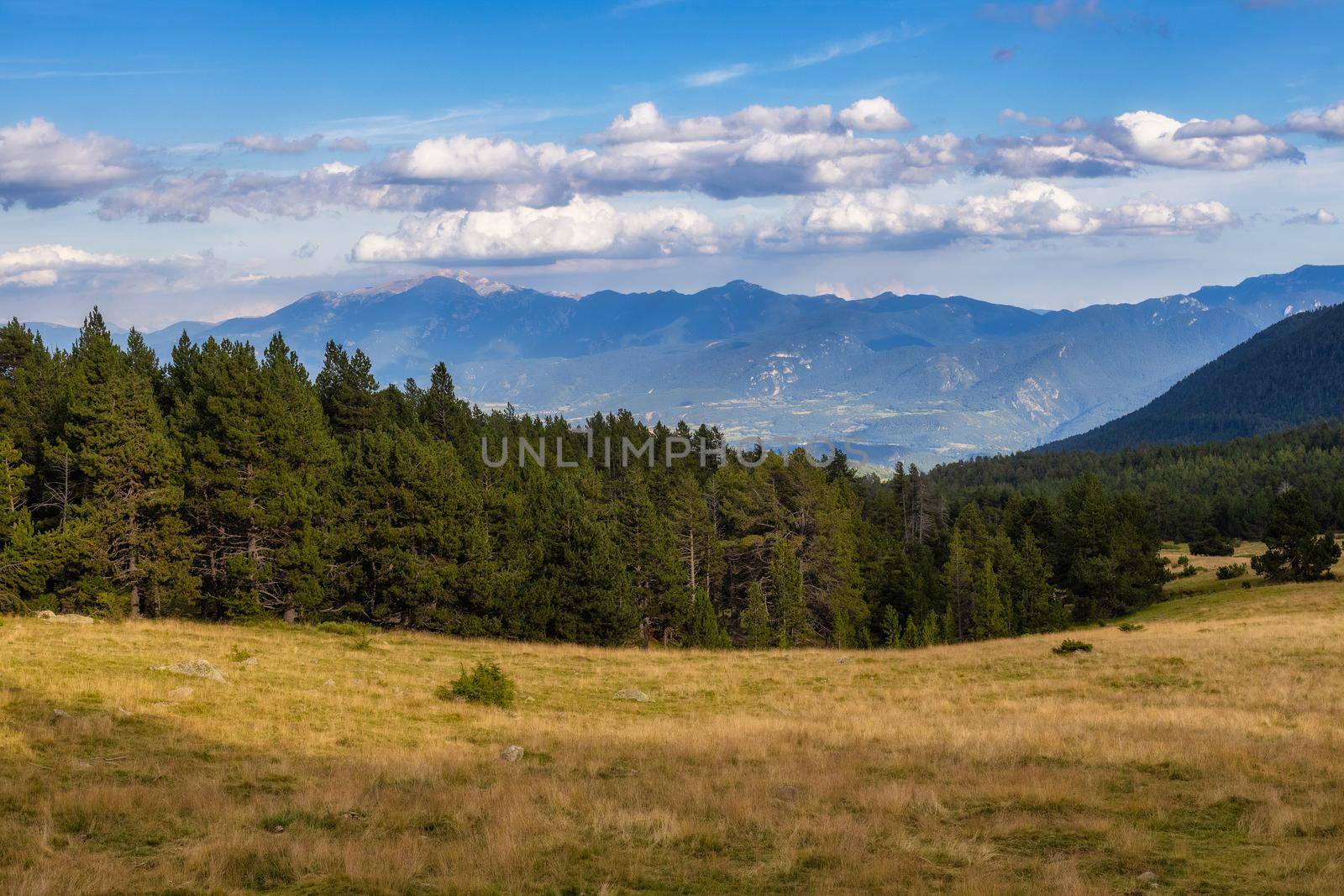 Summer landscape in La Cerdanya, Pyrenees mountain , Catalonia, Spain. by Digoarpi