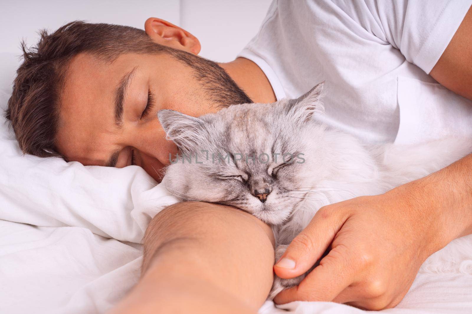 Man sleeping with cat. Lovely cat and owner. Love and trust between people and pets by DariaKulkova