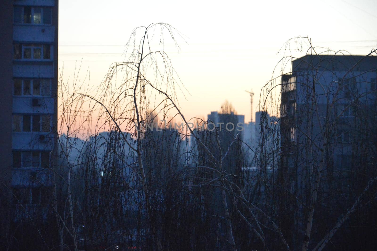 Residential new buildings at daybreak in a the city