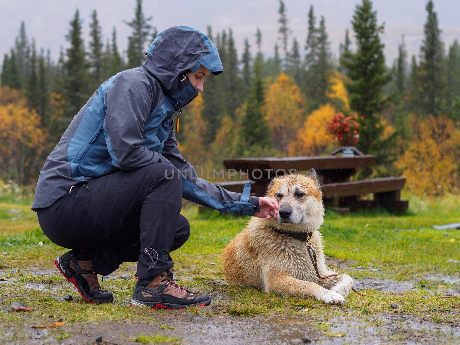 Woman petting a dog in the rain on the grass. photo