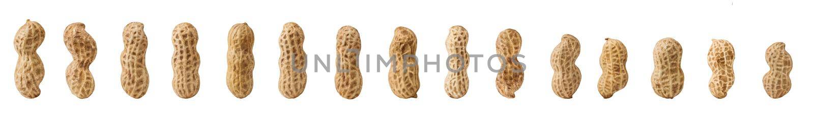 set of peanuts in a nutshell, unpeeled and shelled peanuts isolated on white background. photo