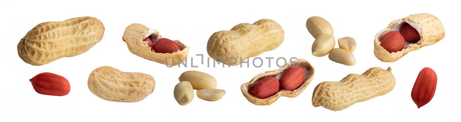 set of peanuts in a nutshell, unpeeled and shelled peanuts isolated on white background. photo